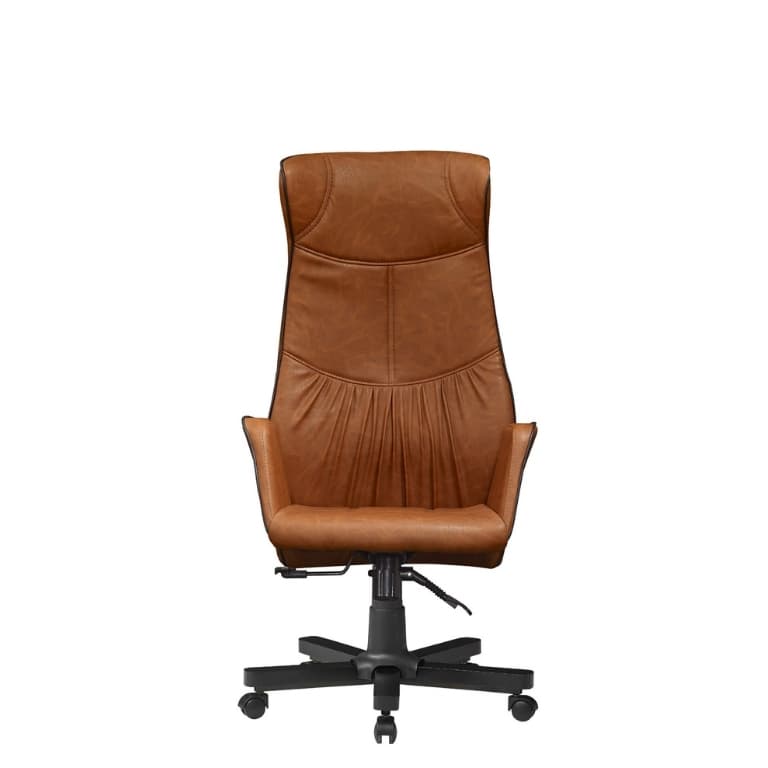 Carot Yönetici Koltuğu - 2