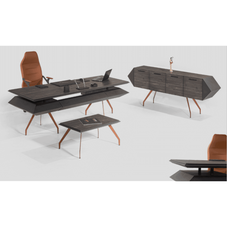 Rayn Üst Düzey Yönetici Takımı