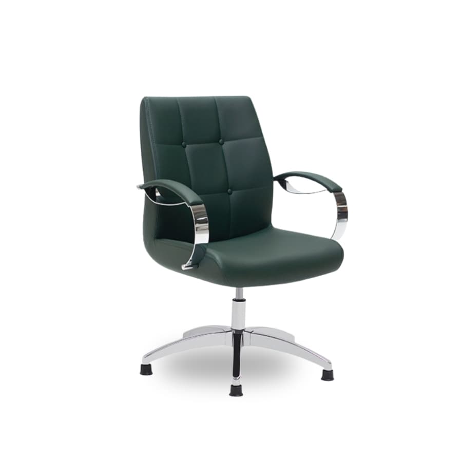 Alina Misafir Koltuğu