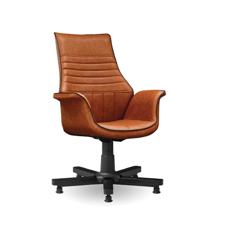 Clive Misafir Koltuğu