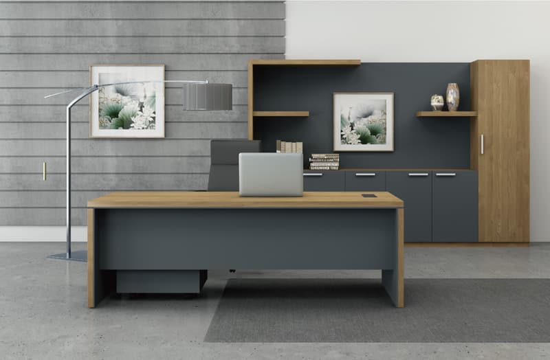 Almina Üst Düzey Yönetici Takımı - 2