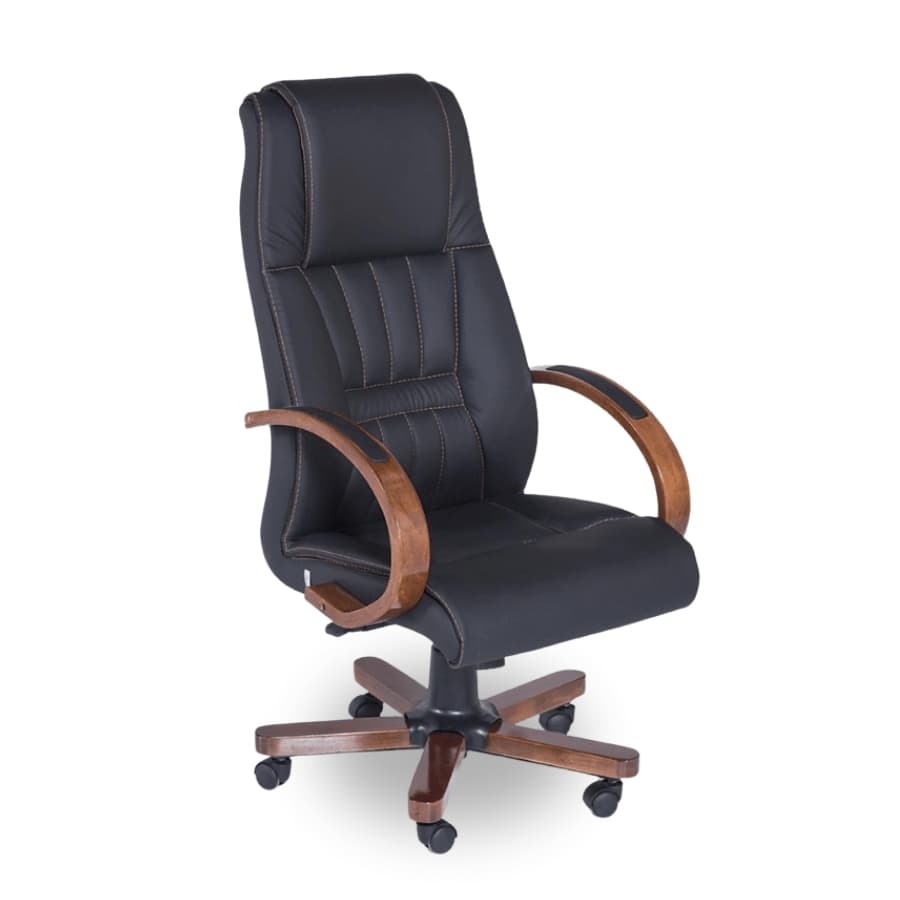 Halley Yönetici Koltuğu