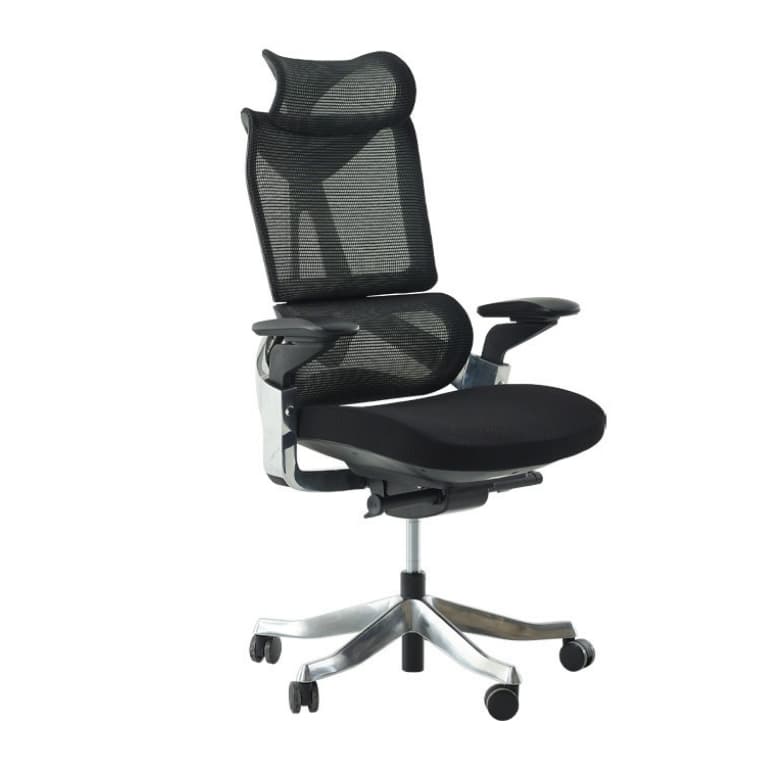 Jesolo Fileli Yönetici Koltuğu