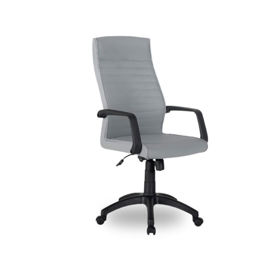 Leves Plastik Şef Koltuğu - 2