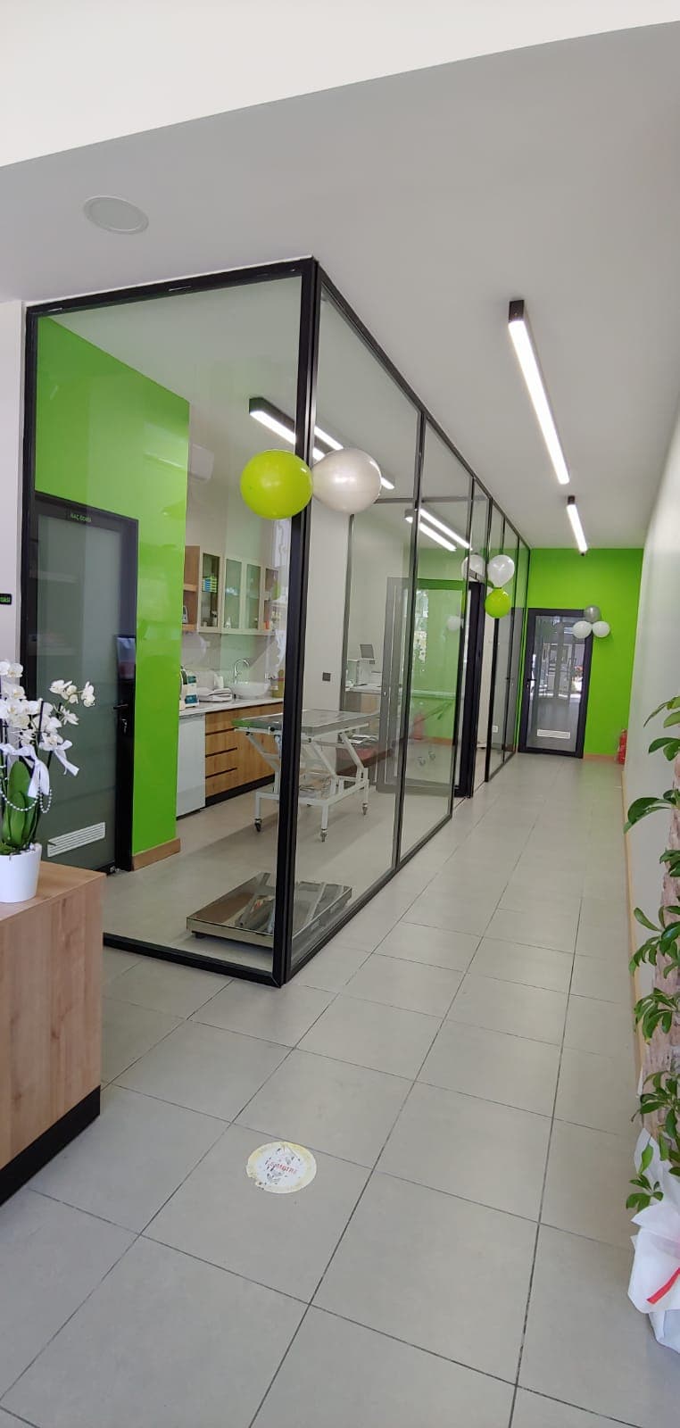 Pawland Veterinerlik - Görsel 9