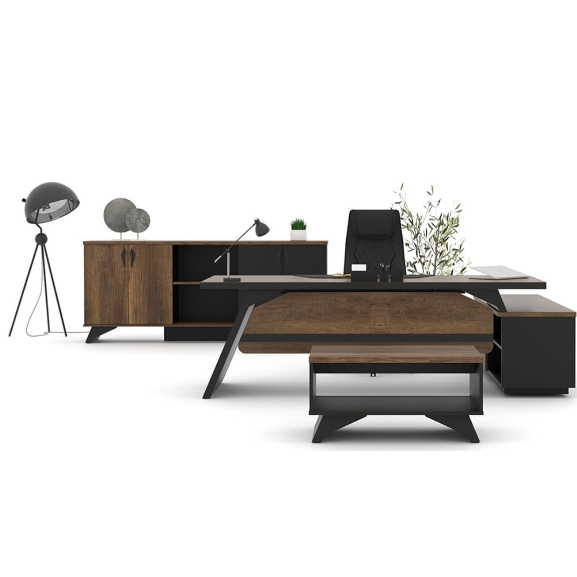 Pegasus Üst Düzey Yönetici Takımı