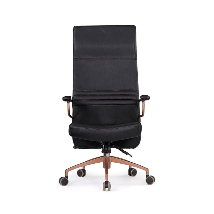 Robin Yönetici Koltuğu