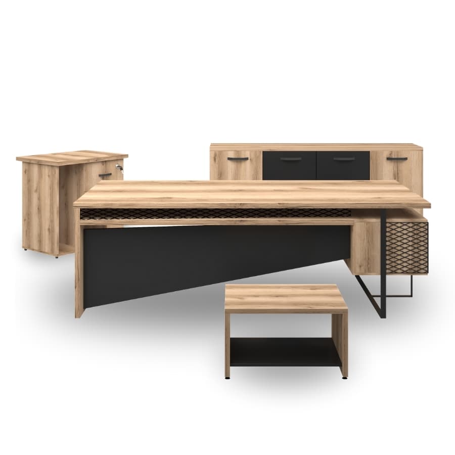 Sina Yönetici Takımı - 2