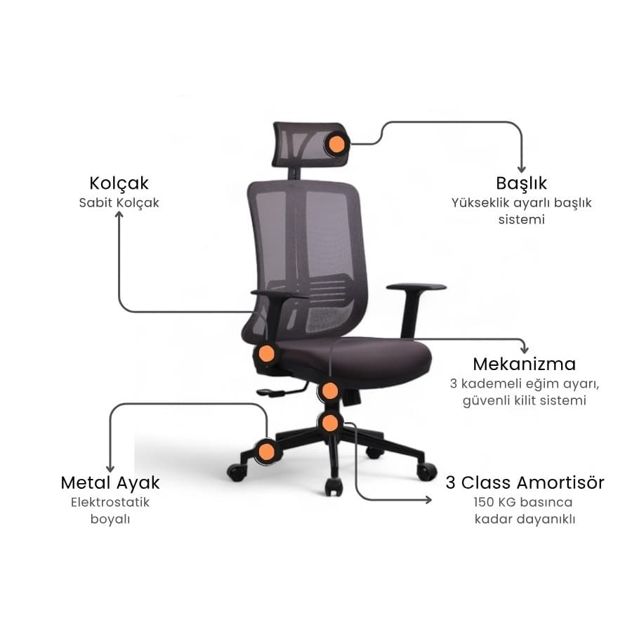 Trigon Fileli Yönetici Koltuğu - 2