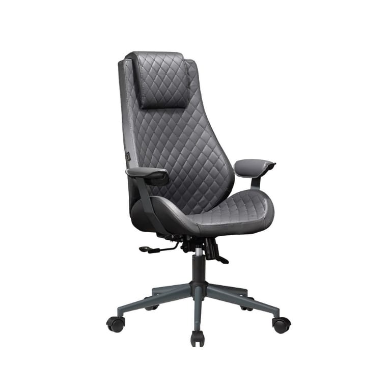 Delphi Yönetici Koltuğu