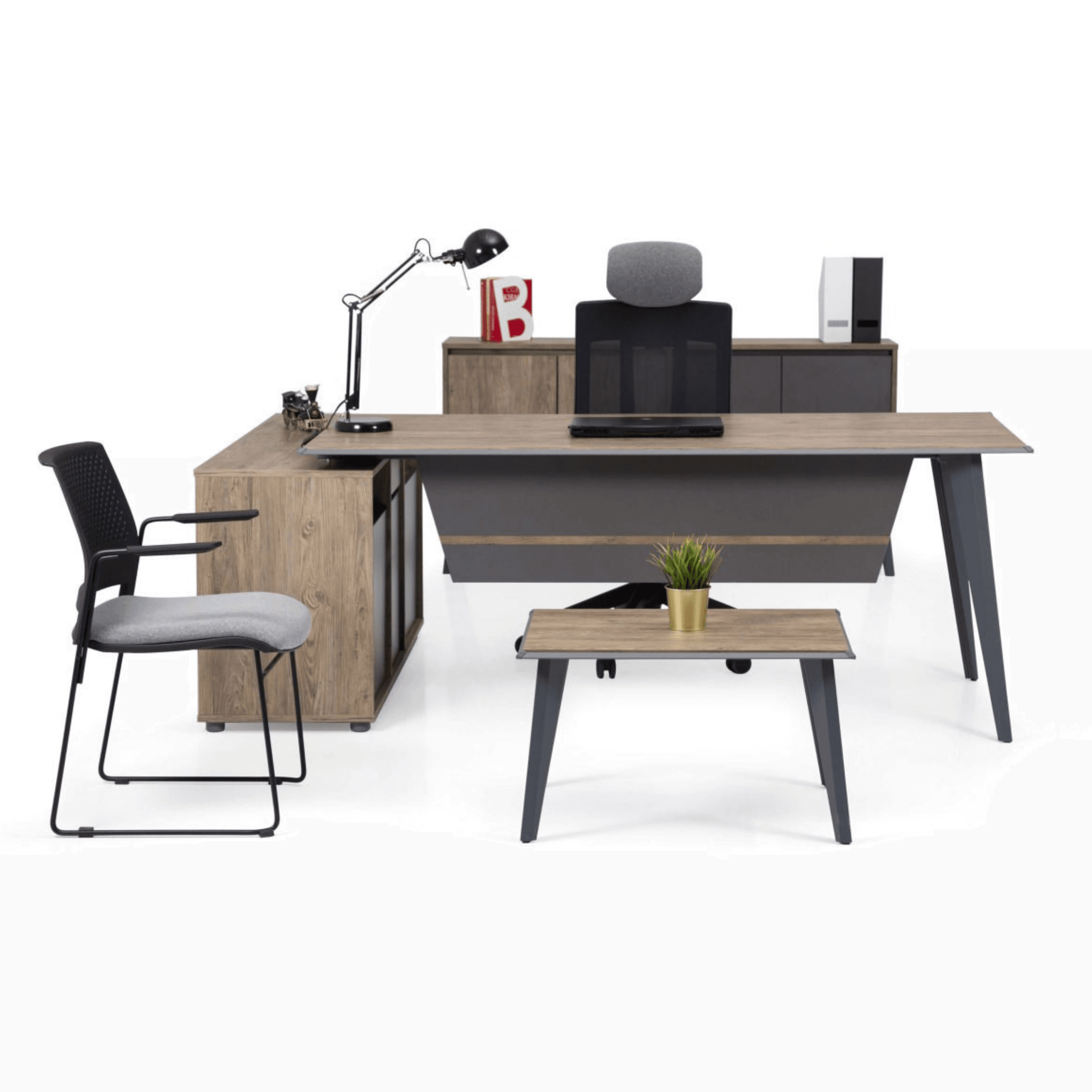 Ekol Yönetici Masa Takımı