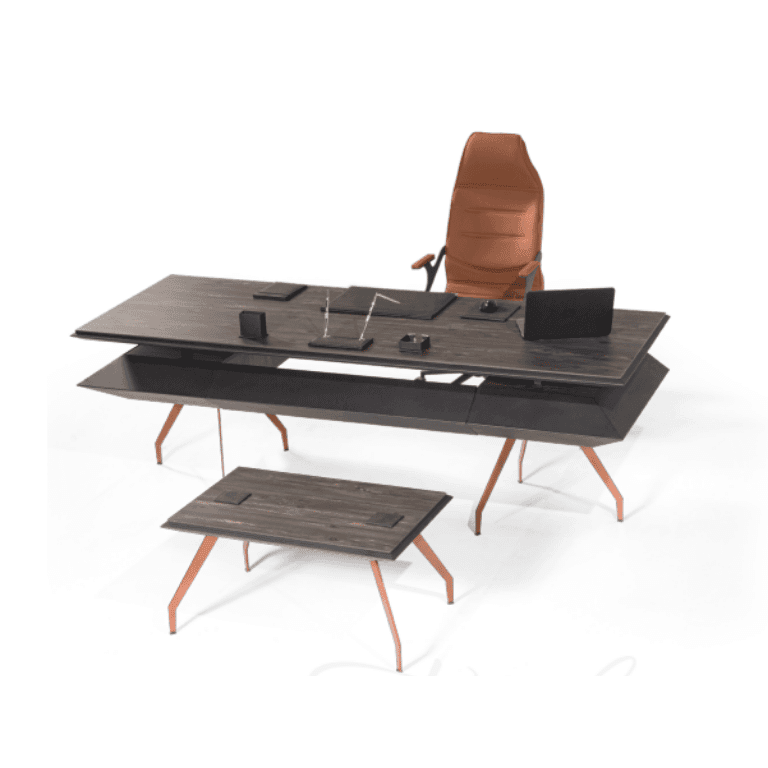 Rayn Üst Düzey Yönetici Takımı