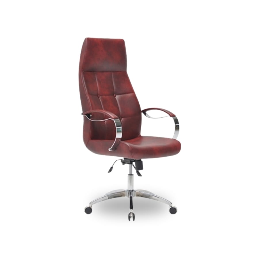 alina yönetici koltuğu 1