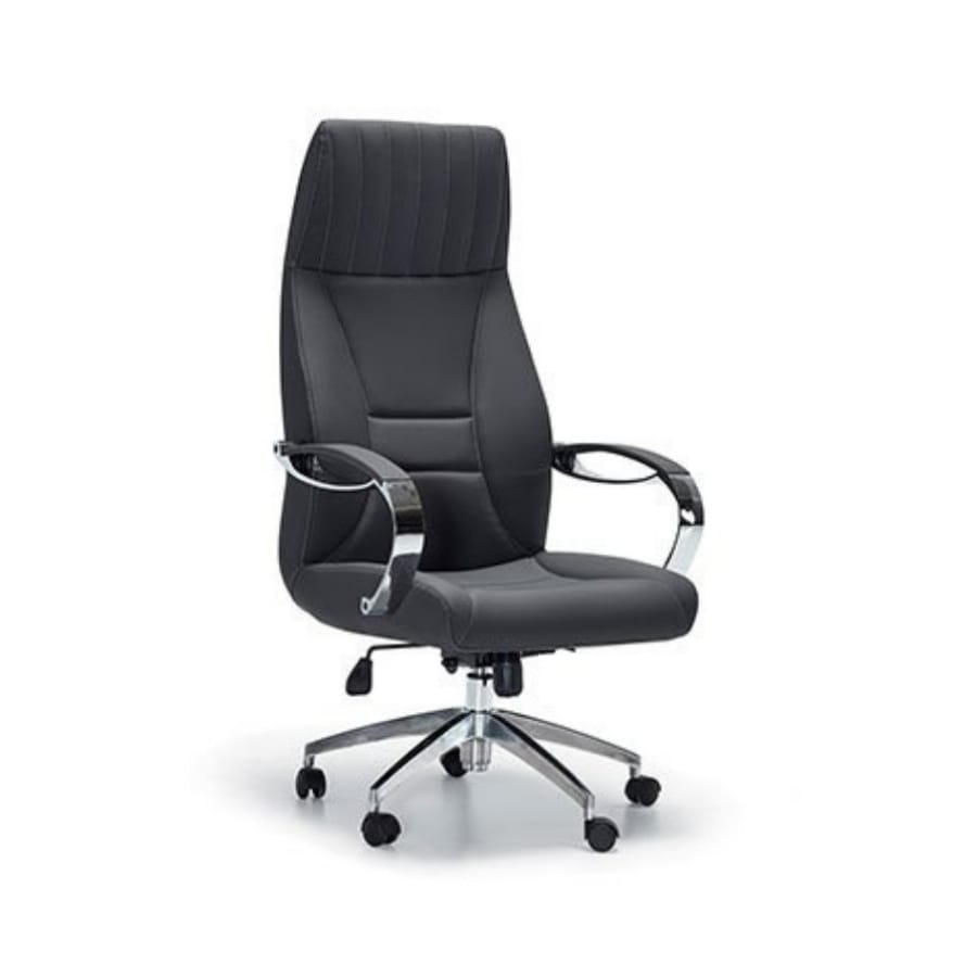 aras yönetici koltuğu 1