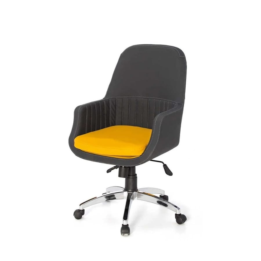 avensis şef koltuğu 02