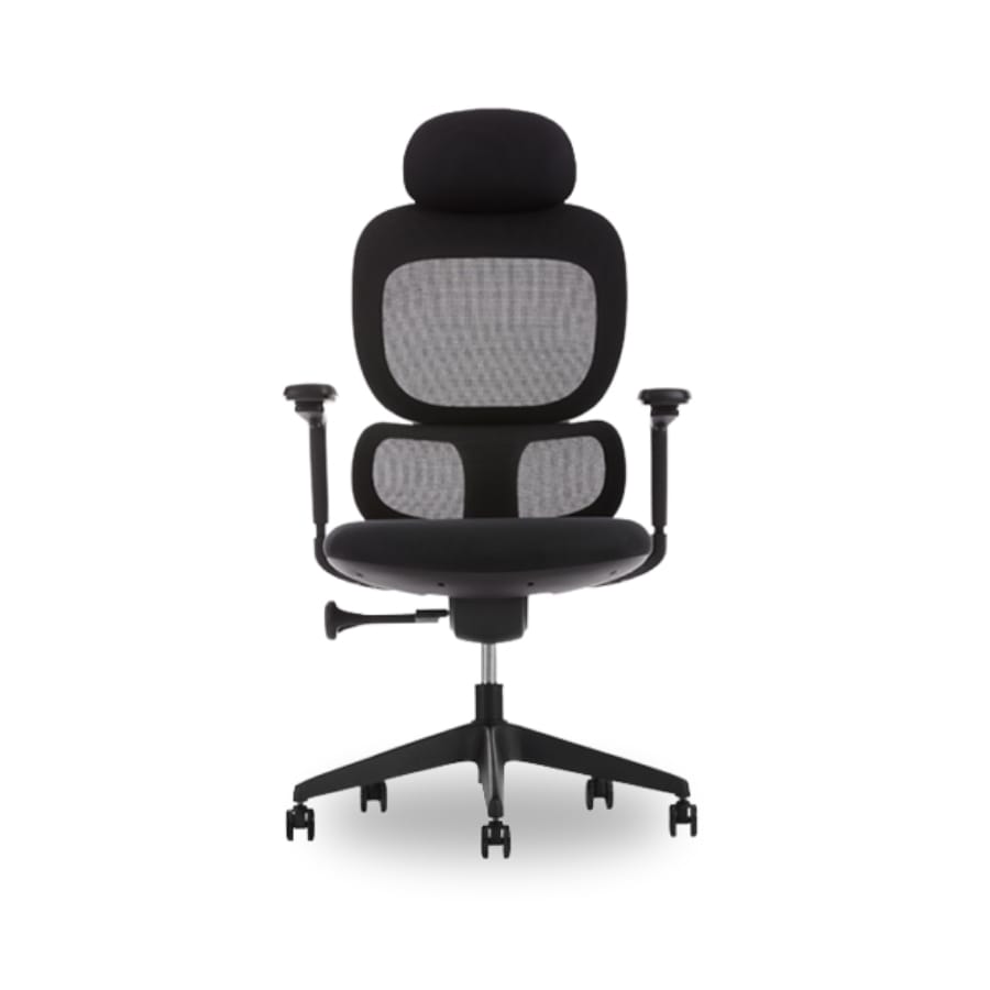 calisto yönetiic k0oltuğu 02