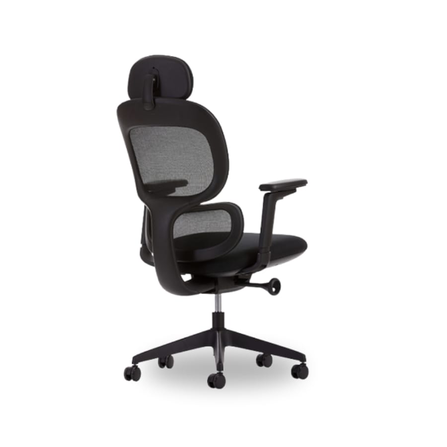 calisto yönetiic k0oltuğu 04