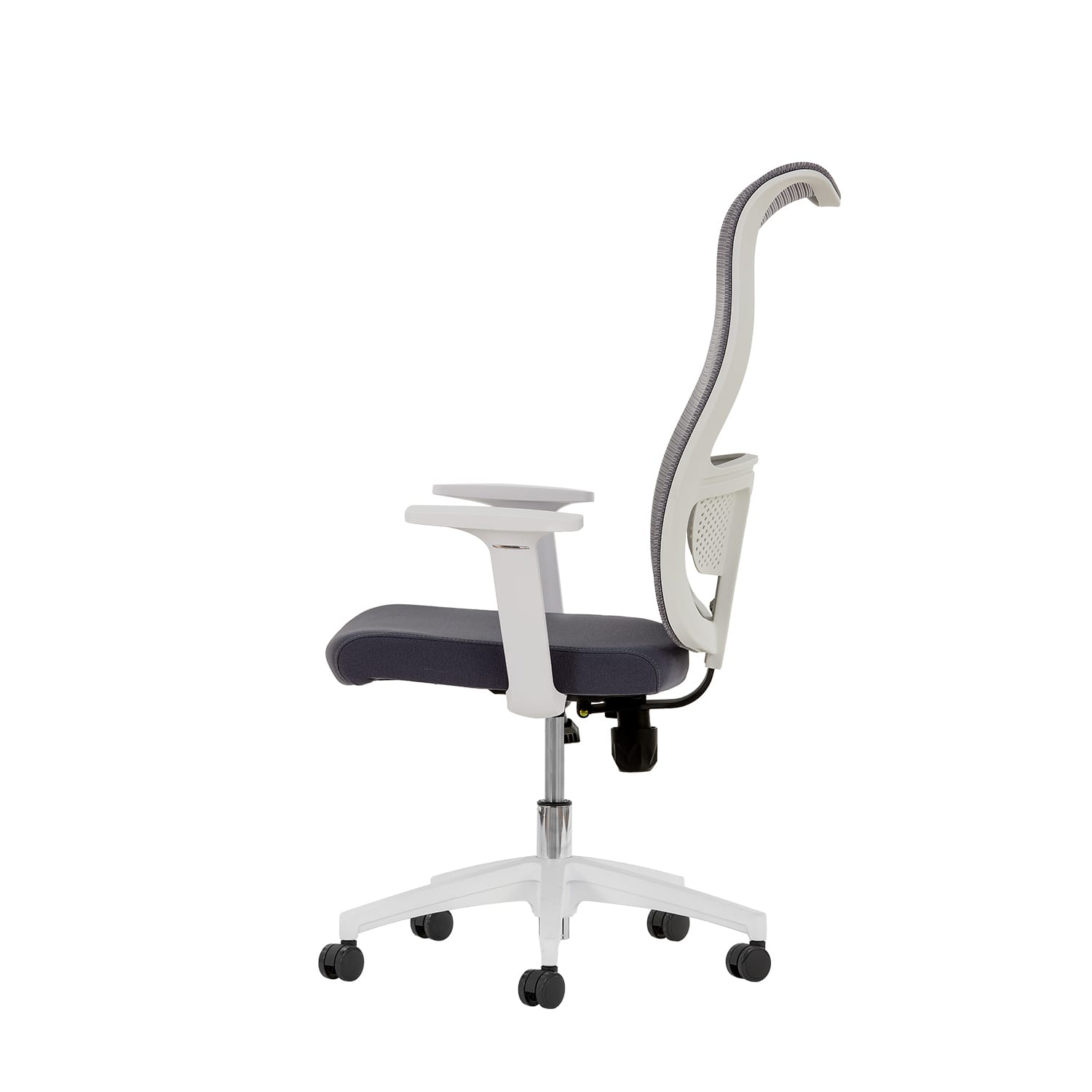 Lucas Fileli Yönetici Koltuğu