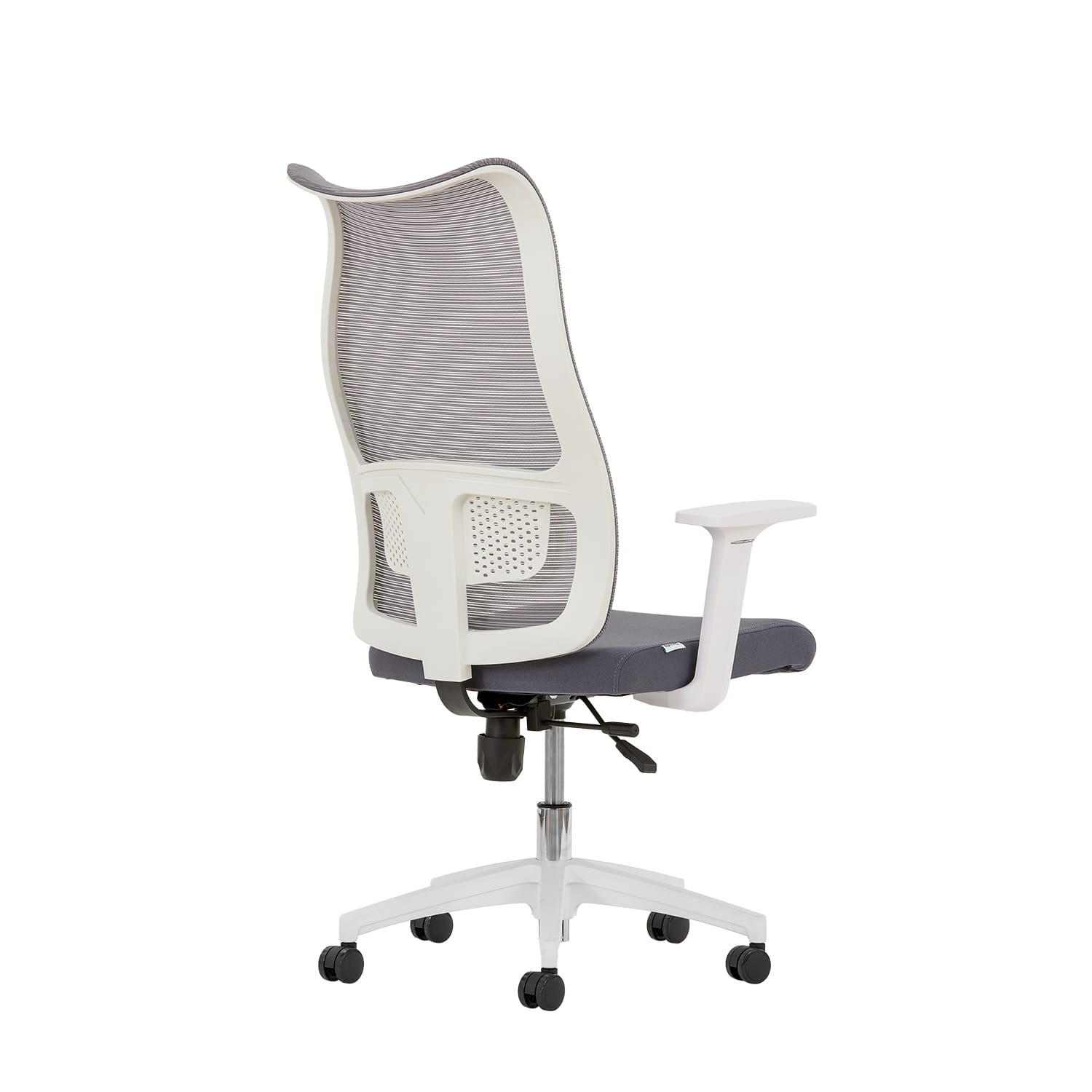 Lucas Fileli Yönetici Koltuğu