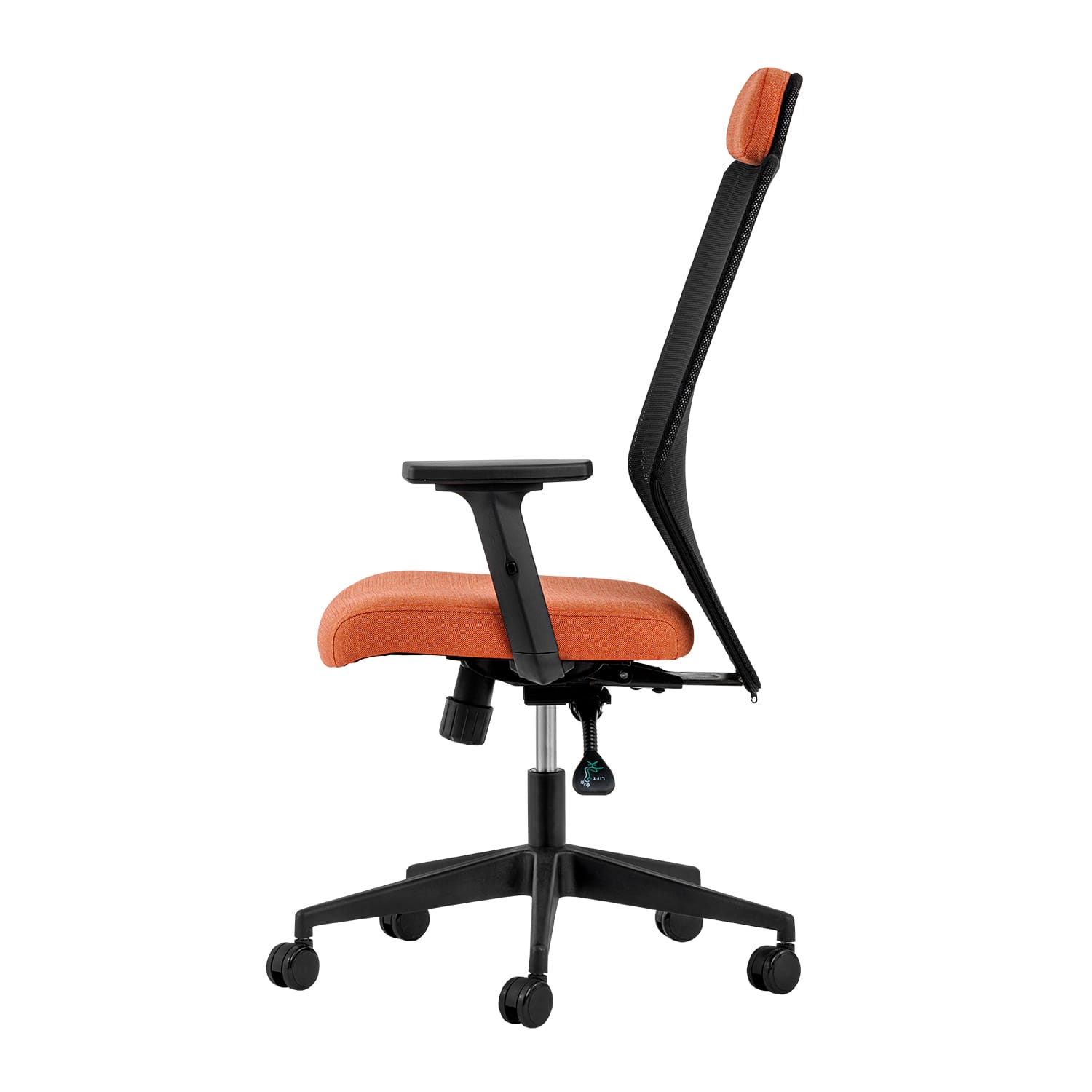 Zeno Fileli Yönetici Koltuğu