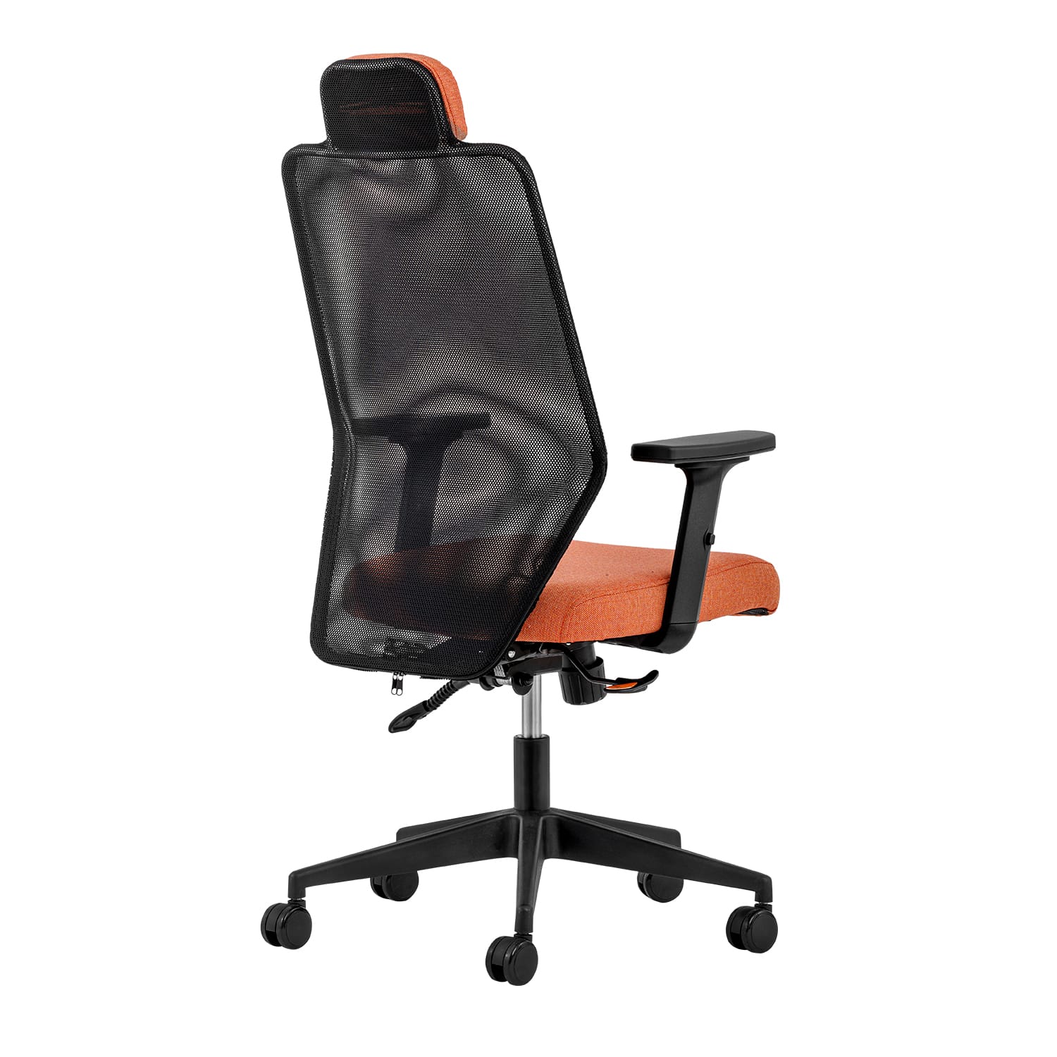 Zeno Fileli Yönetici Koltuğu