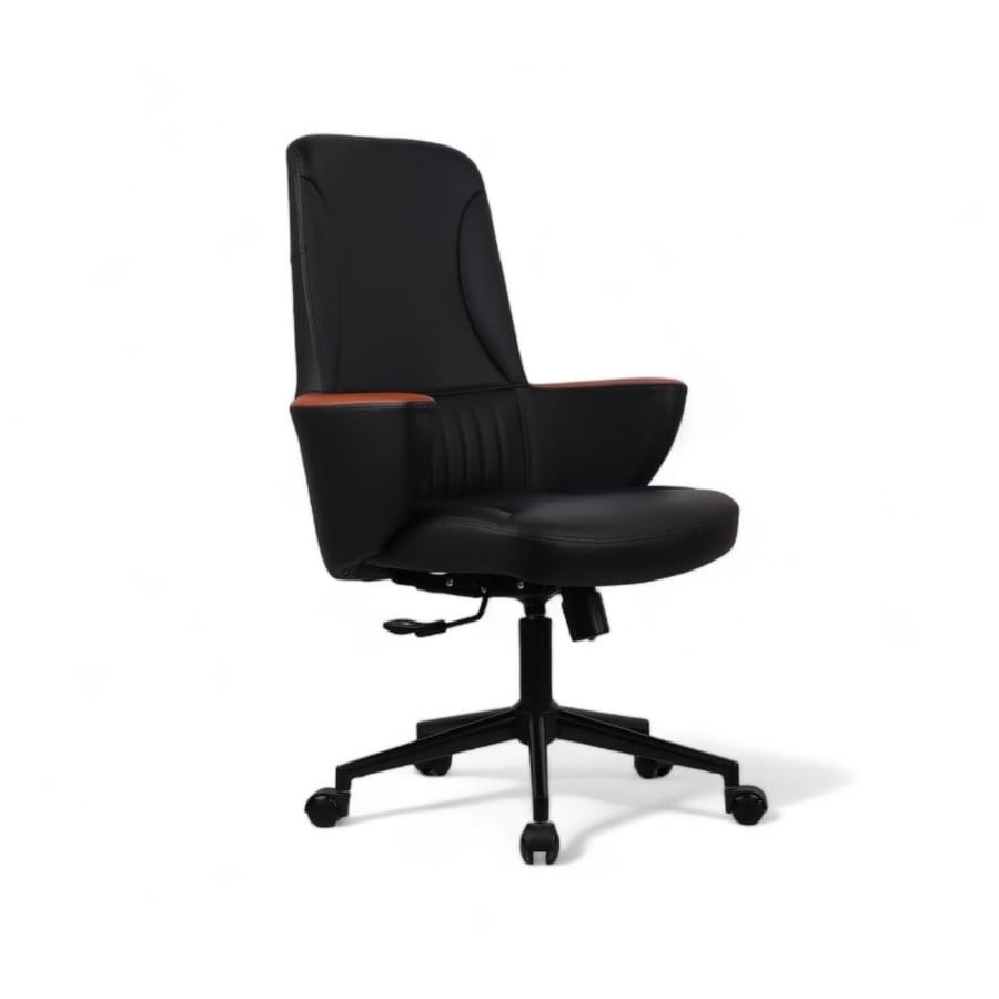 dolphin çalışma koltuğu 1