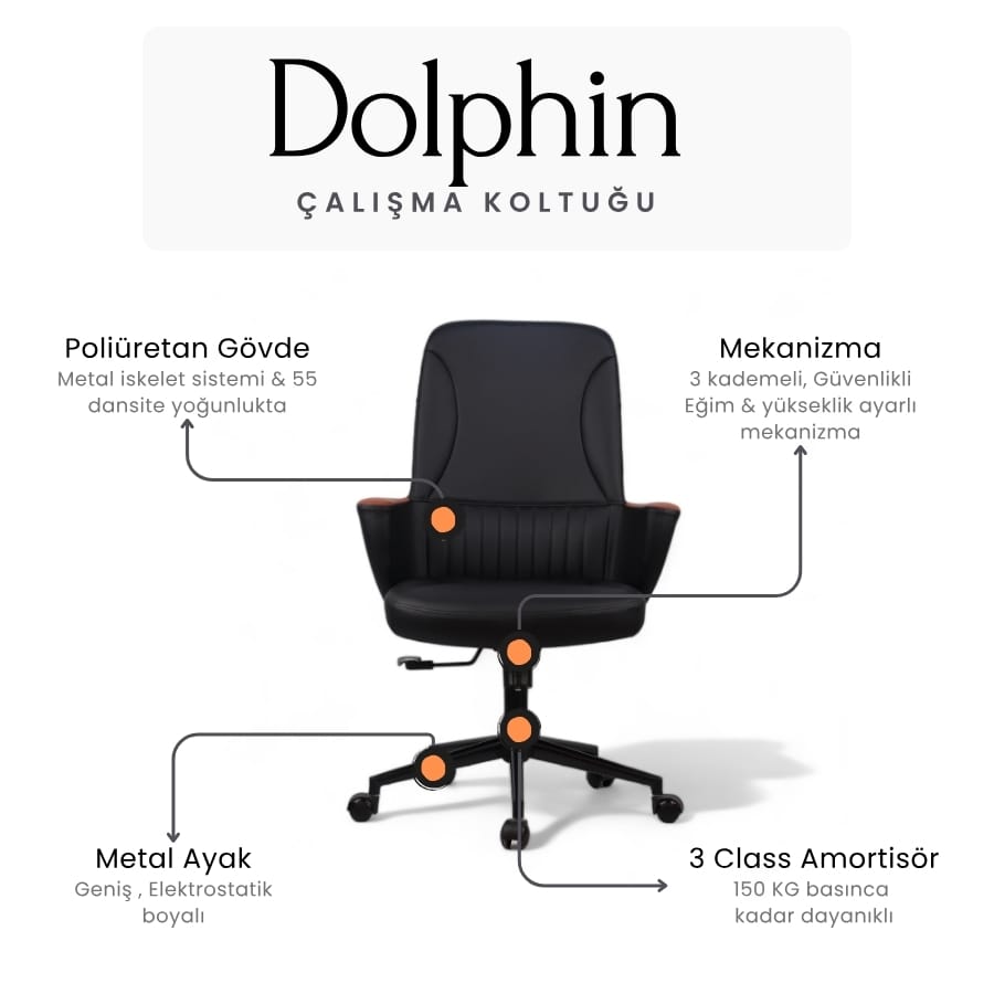 dolphin çalışma koltuğu 5