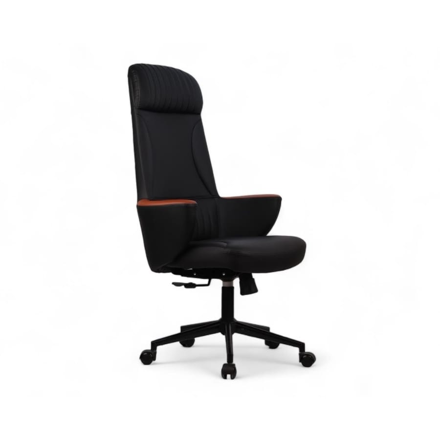 dolphin yönetici koltuğu 1