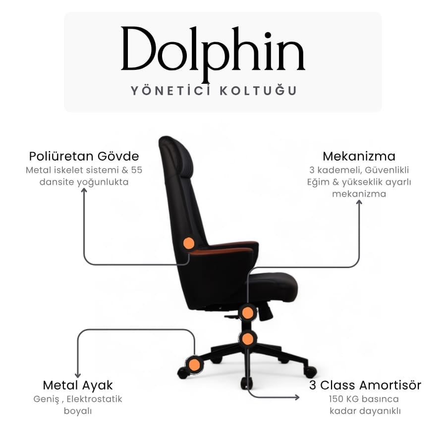 dolphin yönetici koltuğu 6