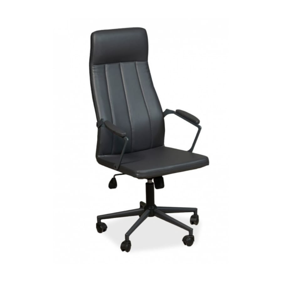 efes şef koltuğu 1