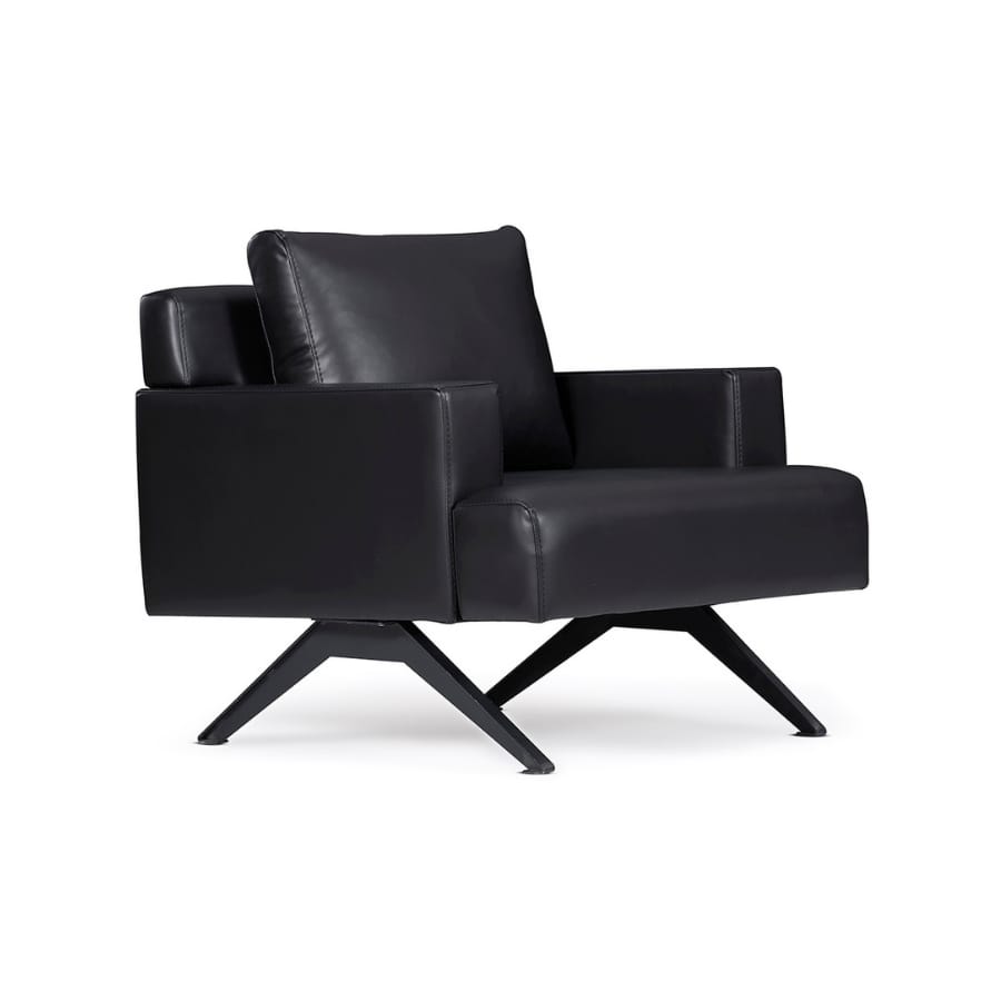 kuğu koltuk grubu 2