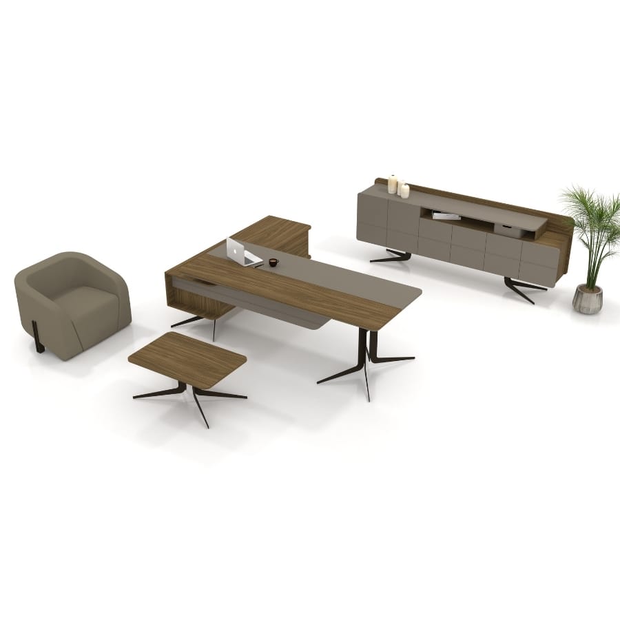 leo üst düzey yönetici takımı 07