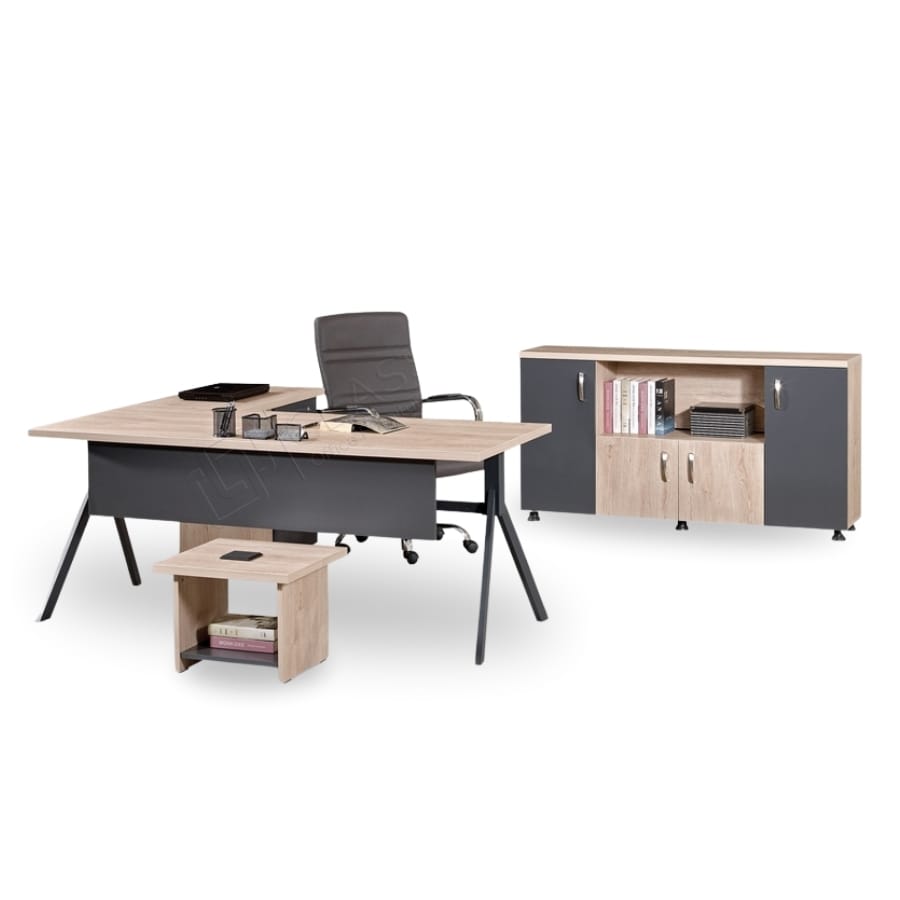 liya yönetici takımı 2