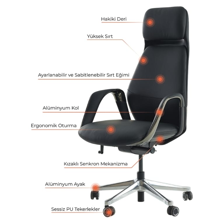 milazzo yönetici koltuğu 2