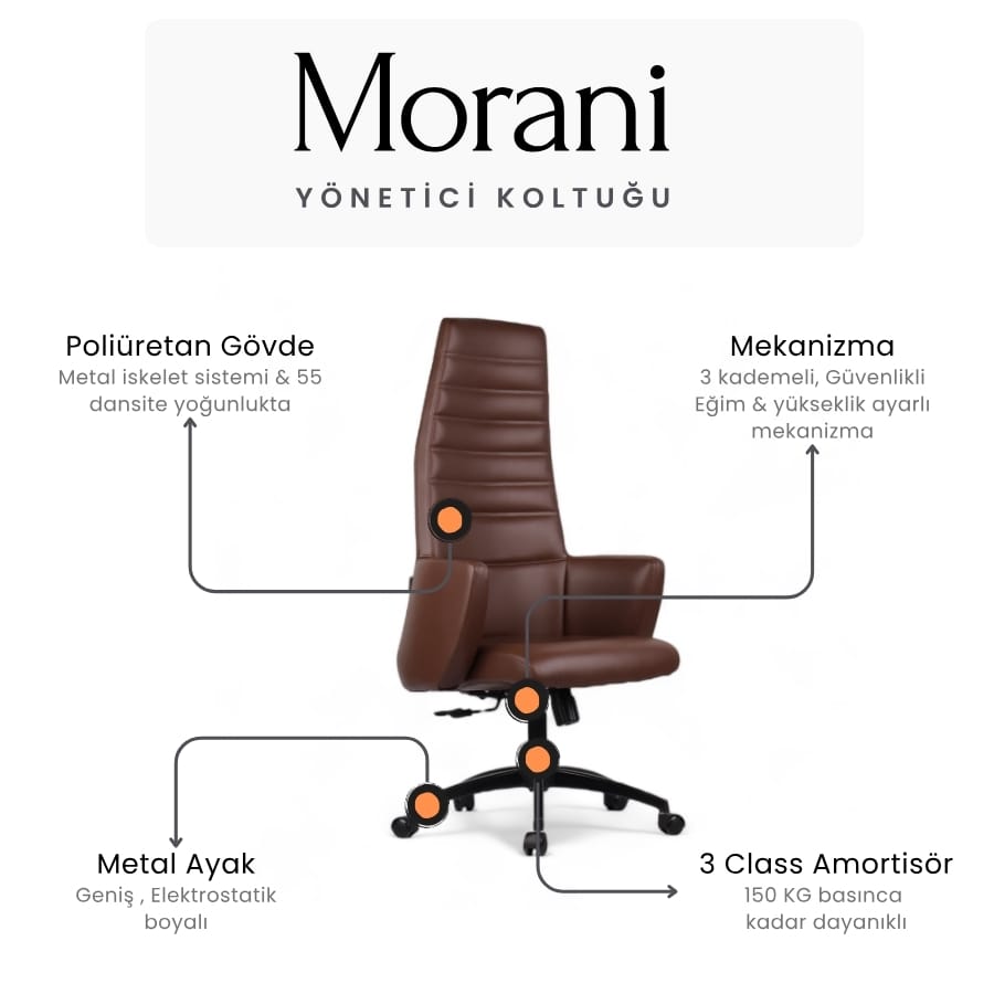 morani yönetici koltuğu 8