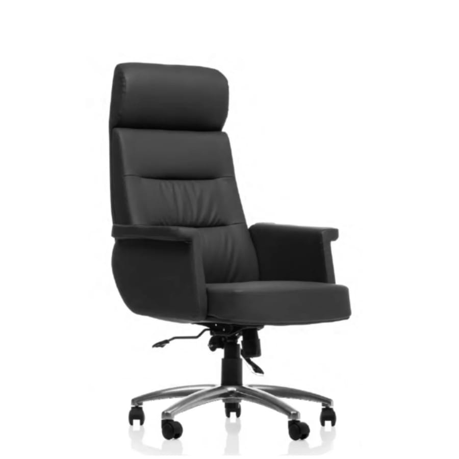 oberon yönetici koltuğu 01