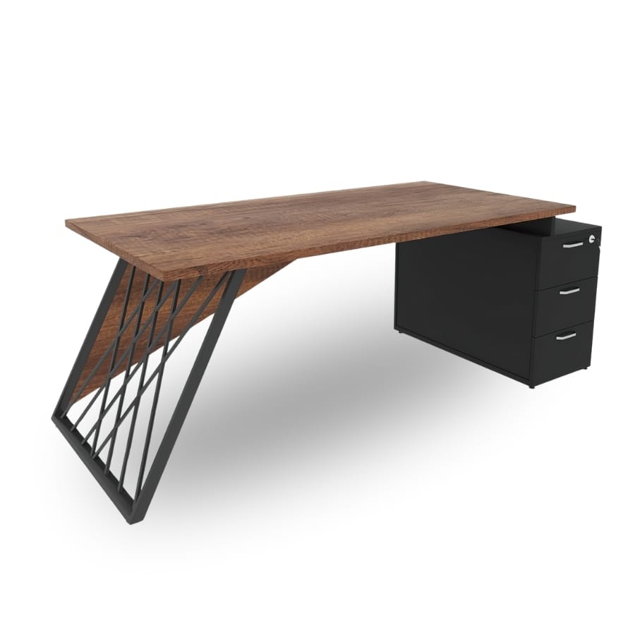 patara yönetici takımı 4