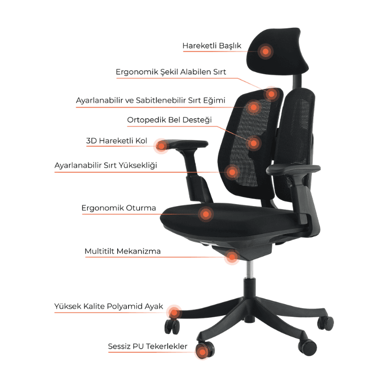 porto yönetici koltuğu 2