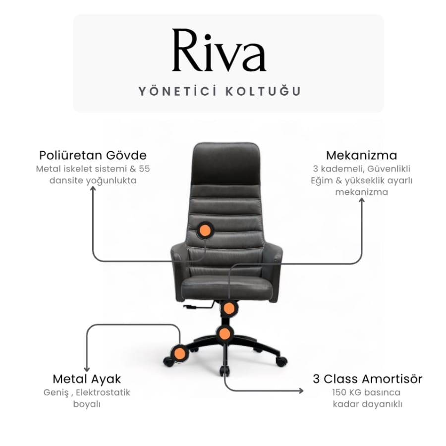 riva yönetici koltuğu 7