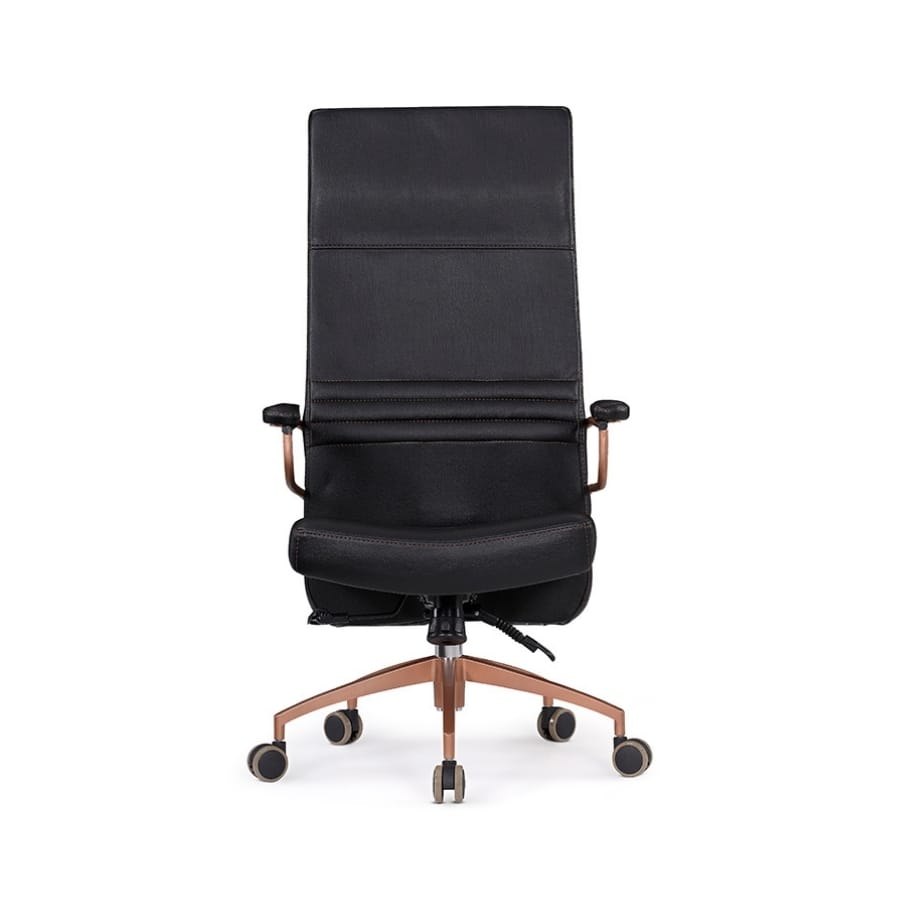 robin yönetici koltuğu 1