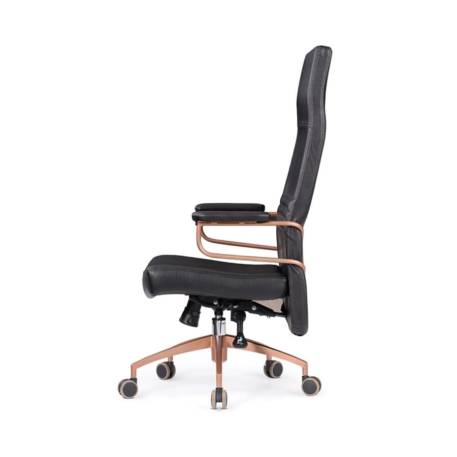 robin yönetici koltuğu 2