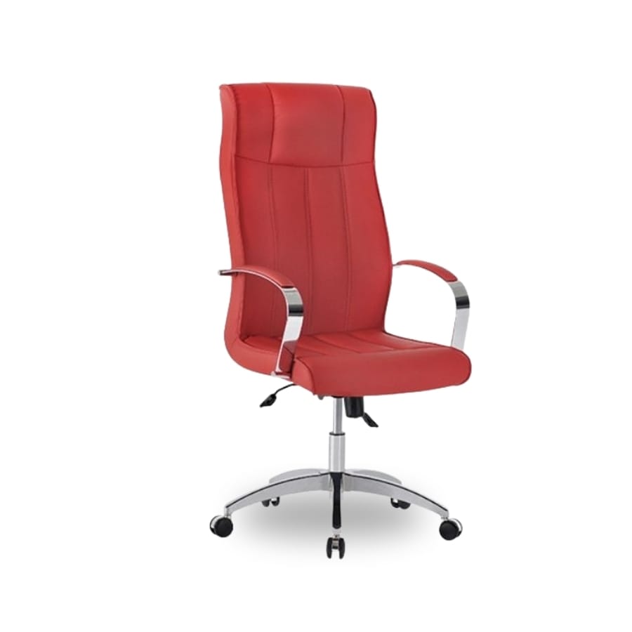 salinas şef koltuğu 1