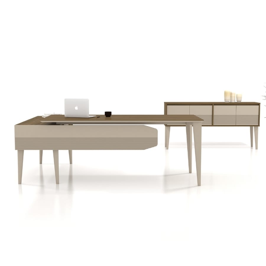 snap yönetici takımı 11