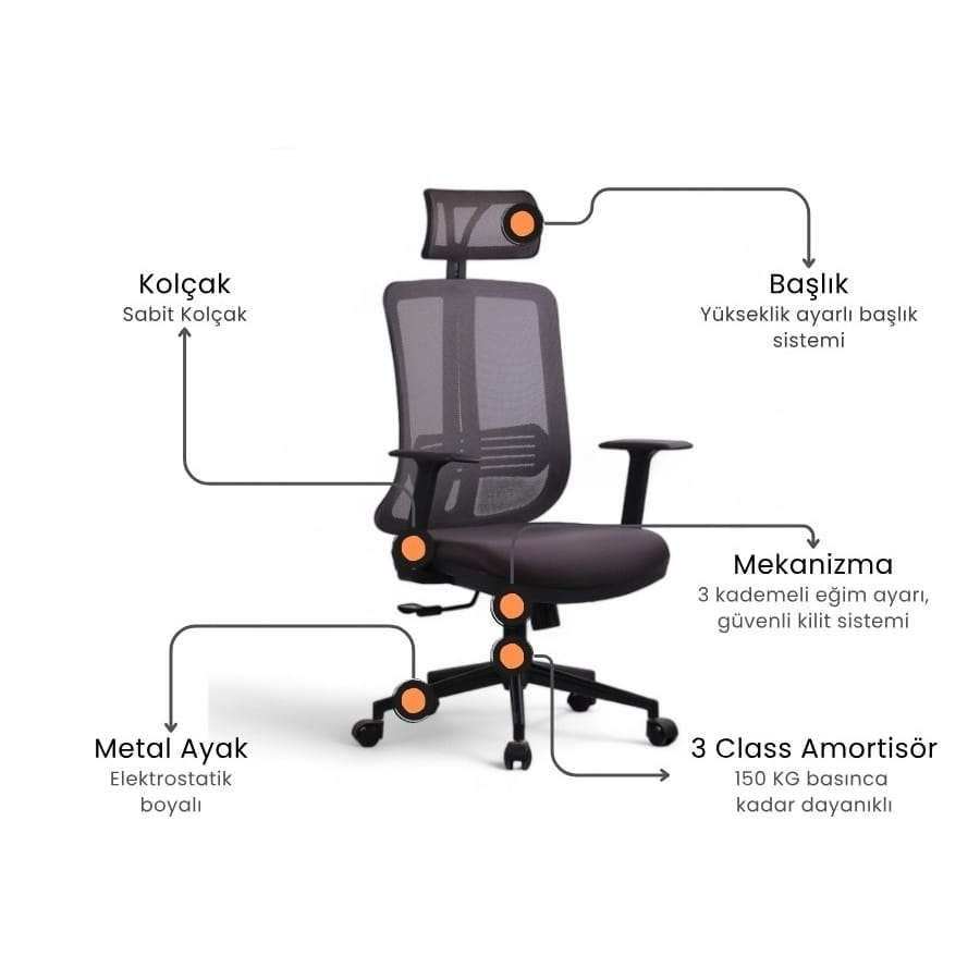 trigon yönetici koltuğu 1