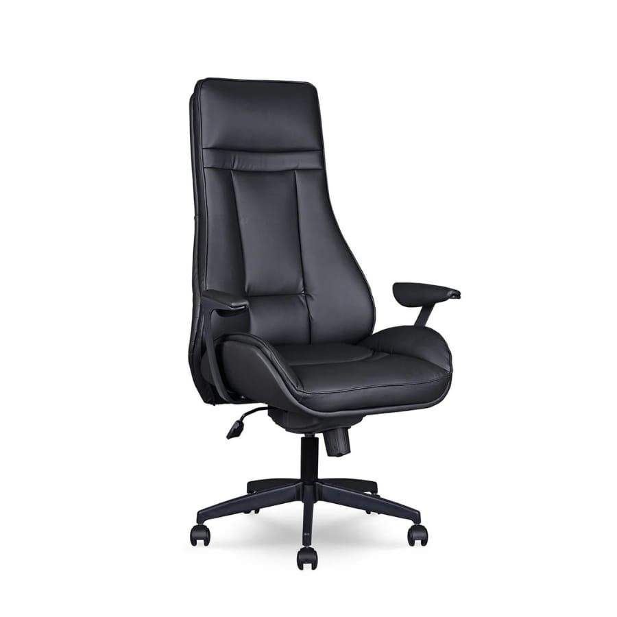 ventus yönetici koltuğu 01