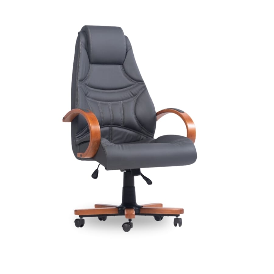 venüs yönetici koltuüu 1