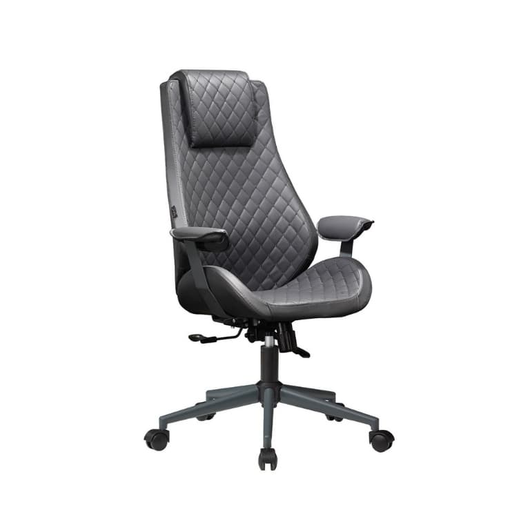 Delphi Yönetici Koltuğu