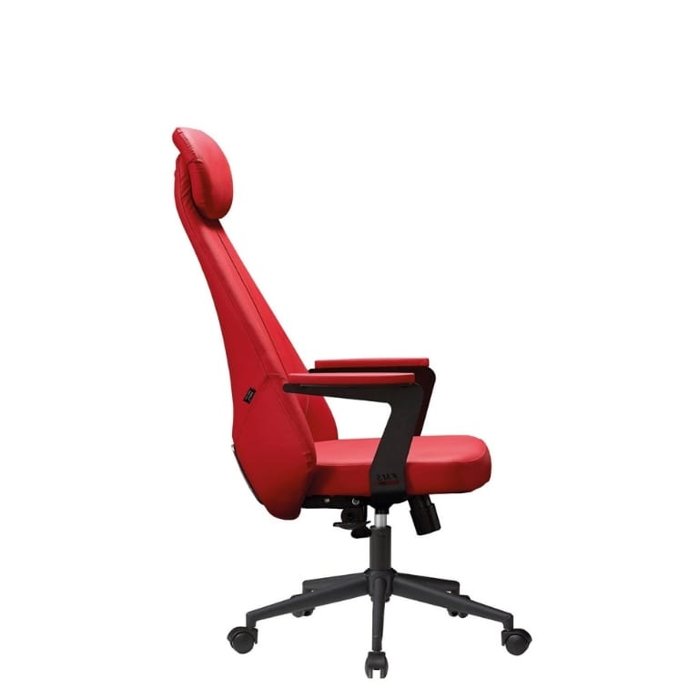 Lexus Yönetici Koltuğu