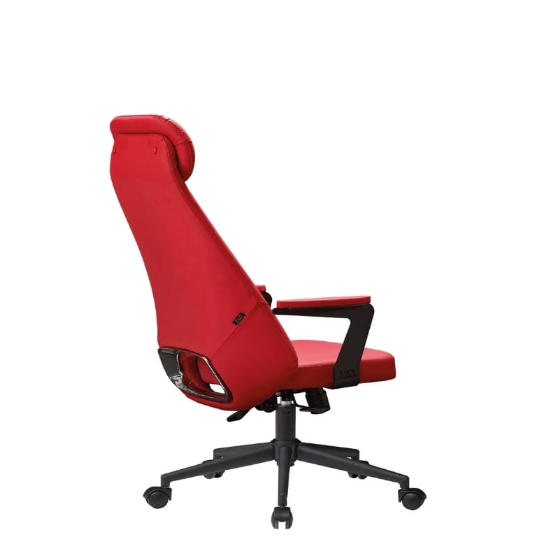 Lexus Yönetici Koltuğu