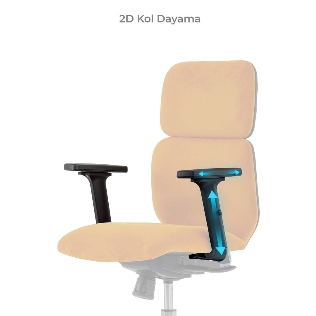 albina şef koltuğu 5